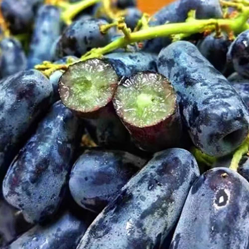 1713853086 thumbnail