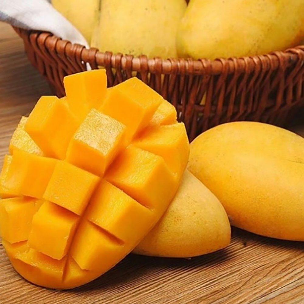 1713853089 thumbnail