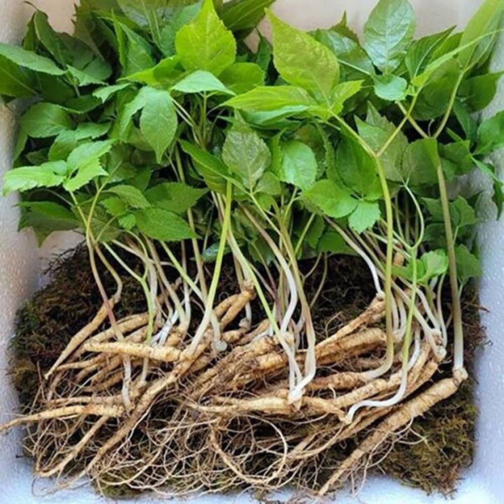 1714376443 thumbnail