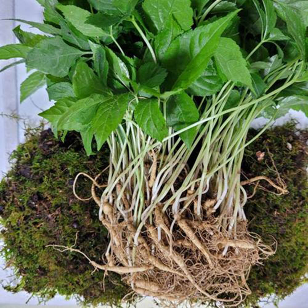 1714460971 thumbnail