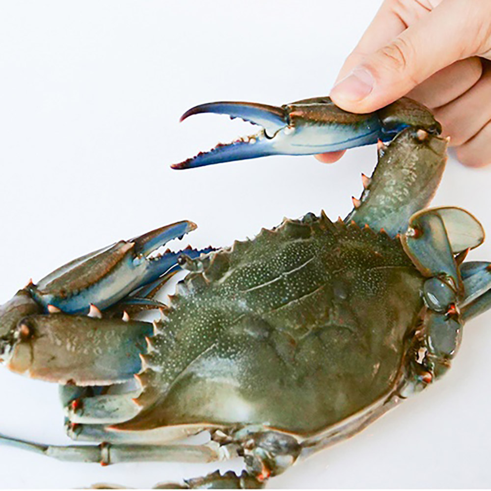 1714711284 thumbnail