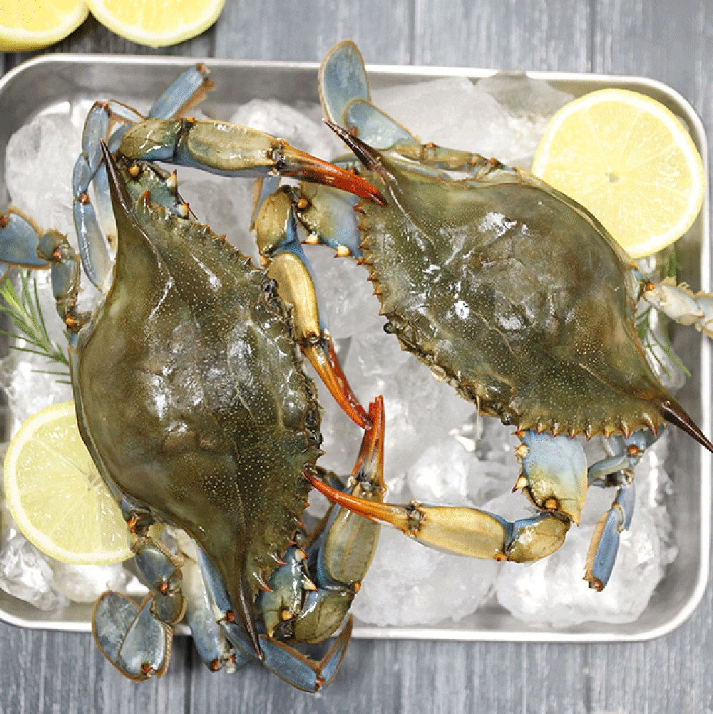 1714711285 thumbnail