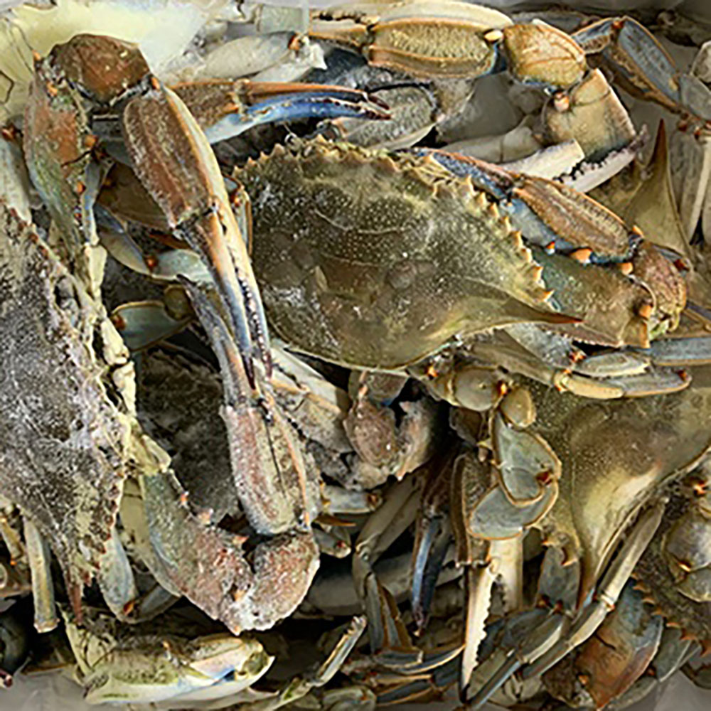 1714711286 thumbnail