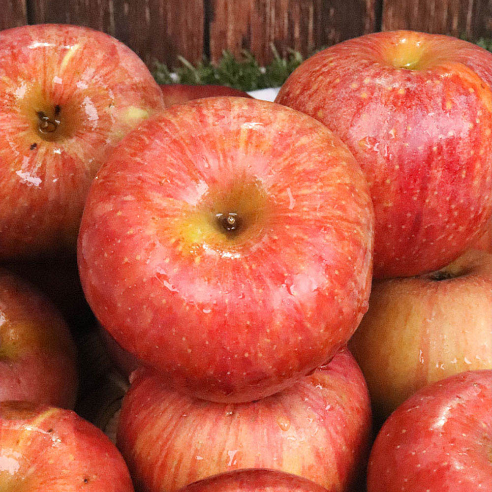 1714711289 thumbnail