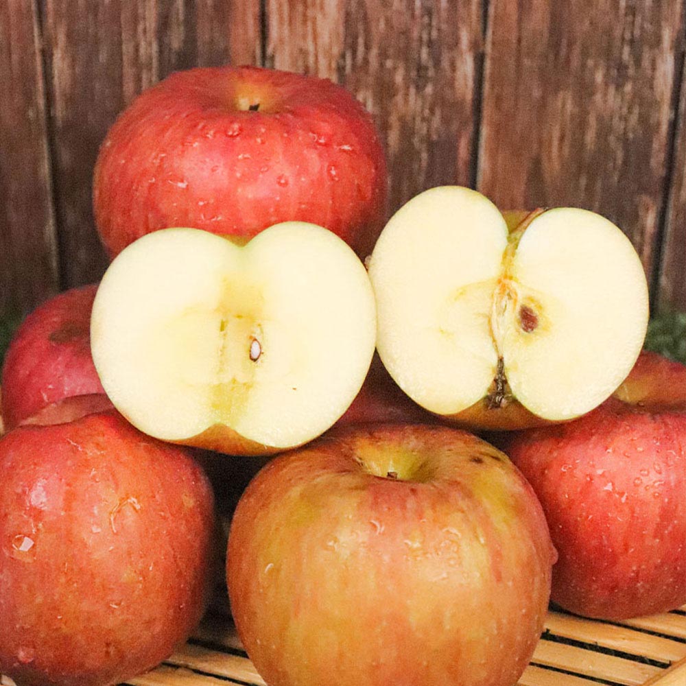 1714711290 thumbnail