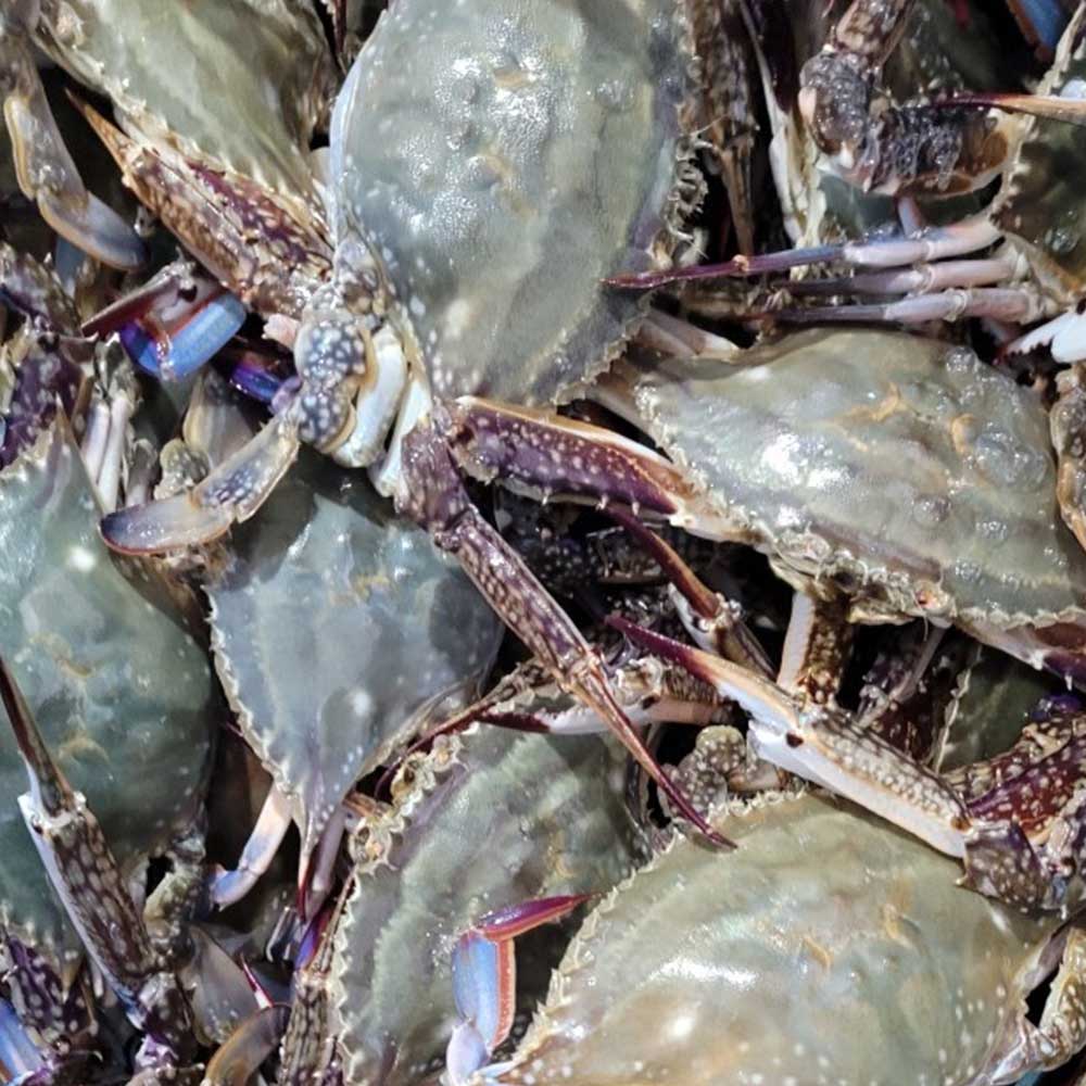 1715069971 thumbnail