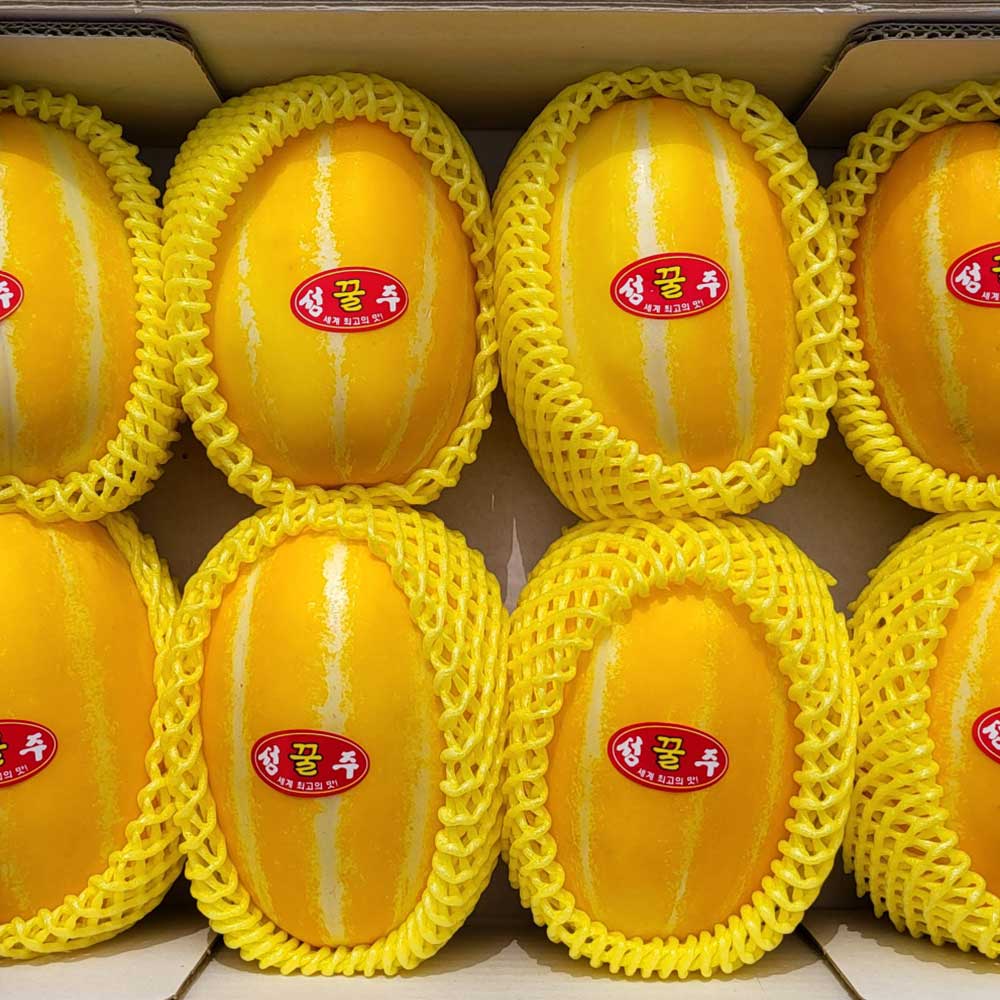 1715069980 thumbnail