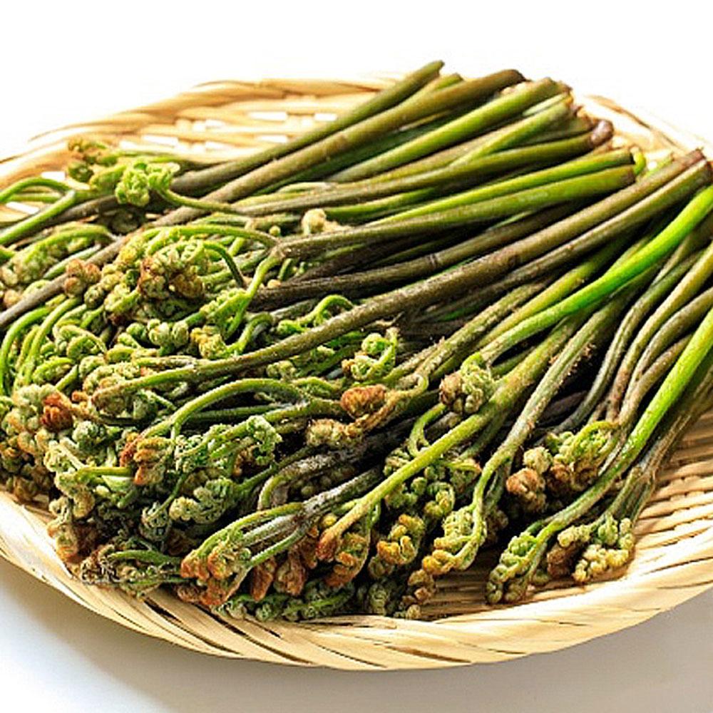 1715218763 thumbnail