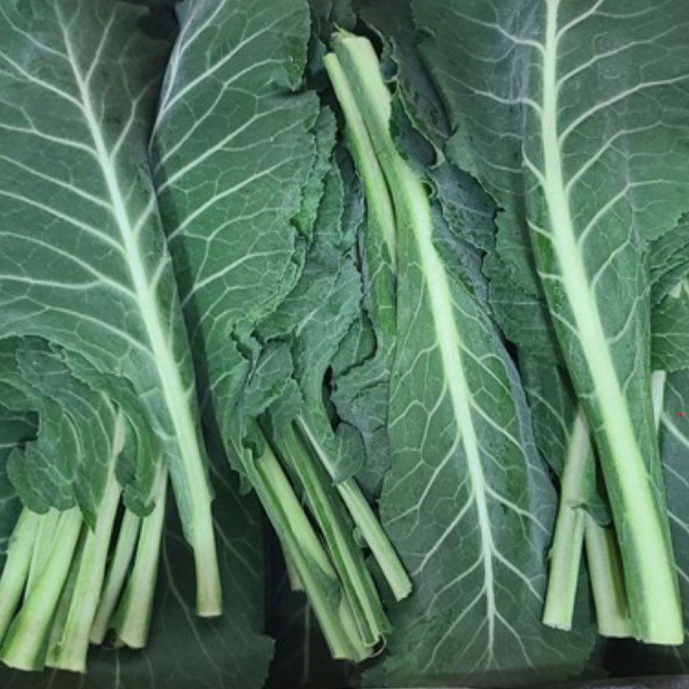 1715218767 thumbnail