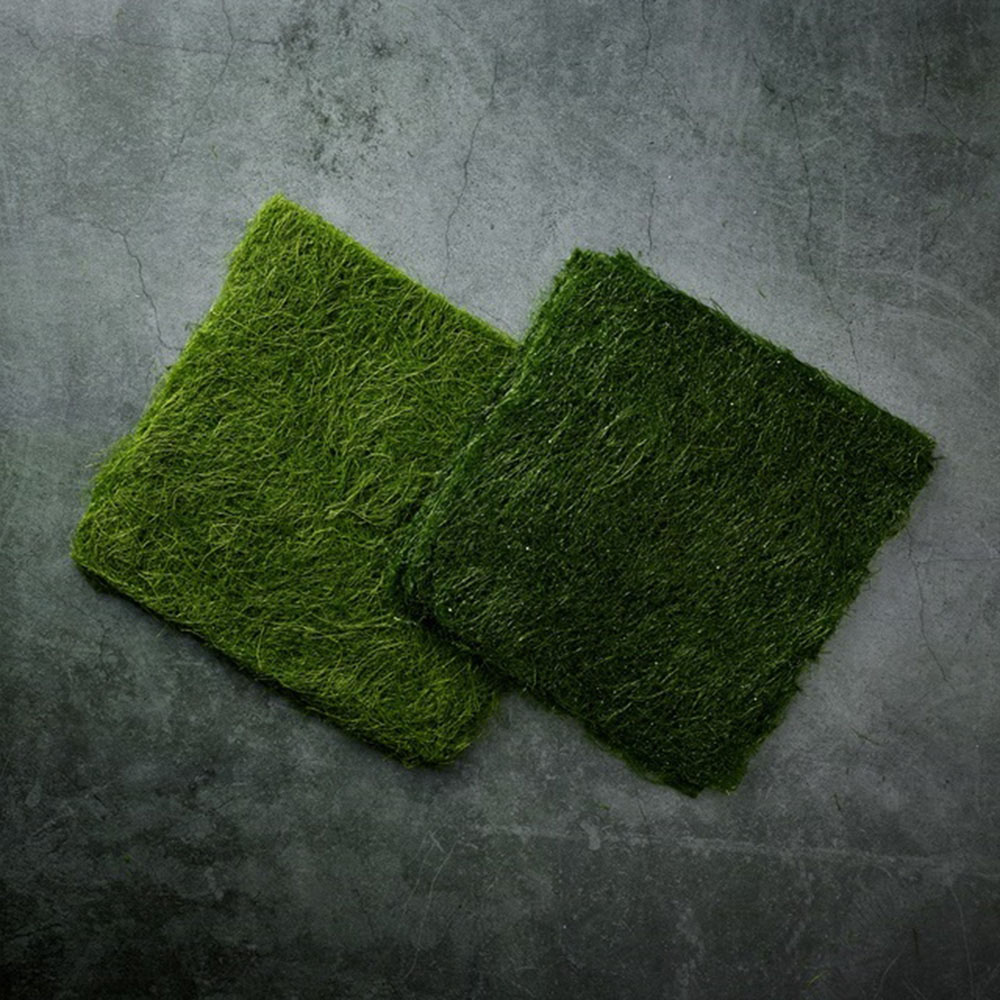 1715234314 thumbnail