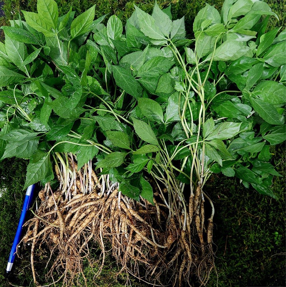 1715307635 thumbnail