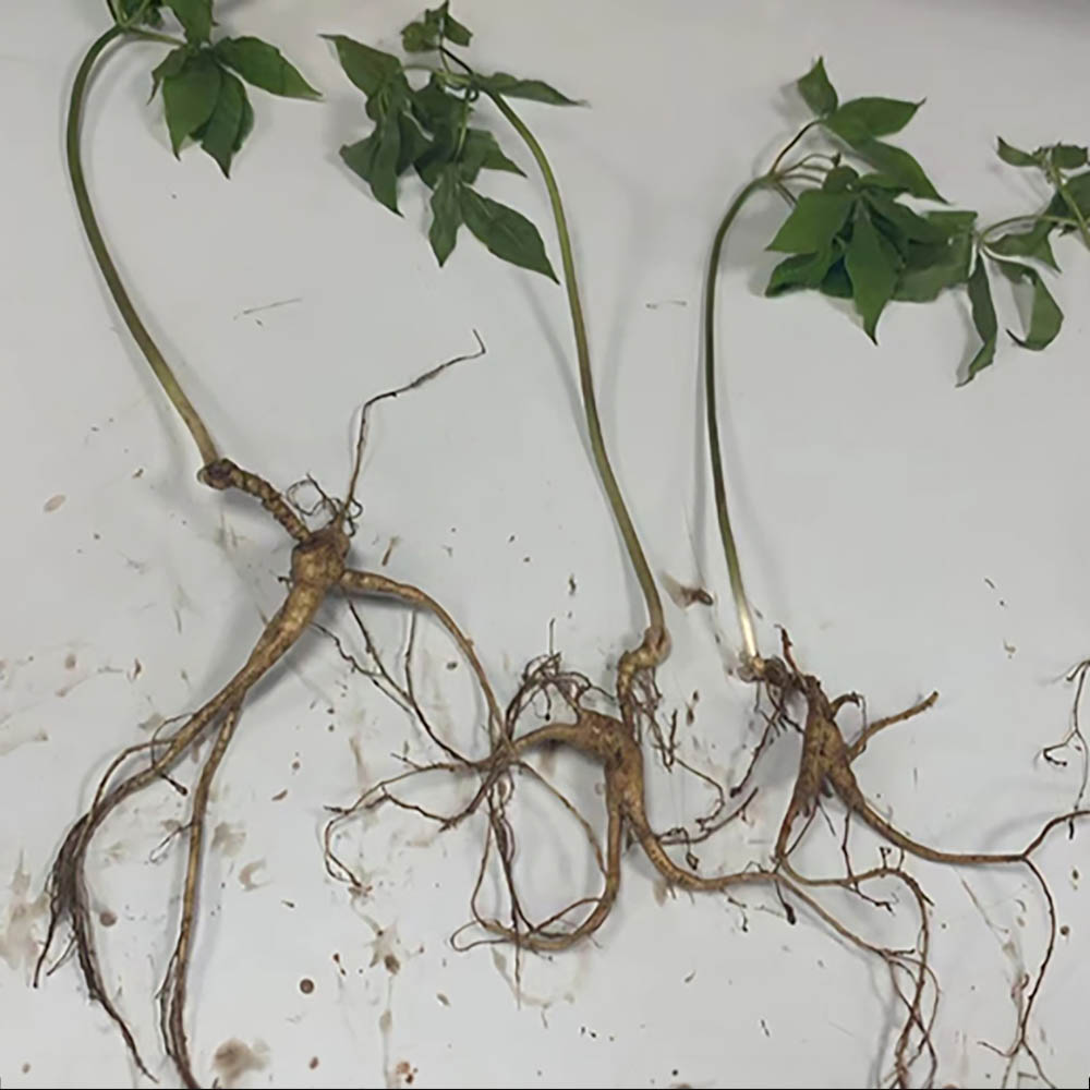 1715307638 thumbnail