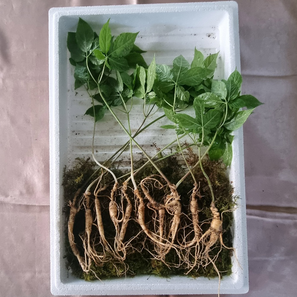 1715307640 thumbnail