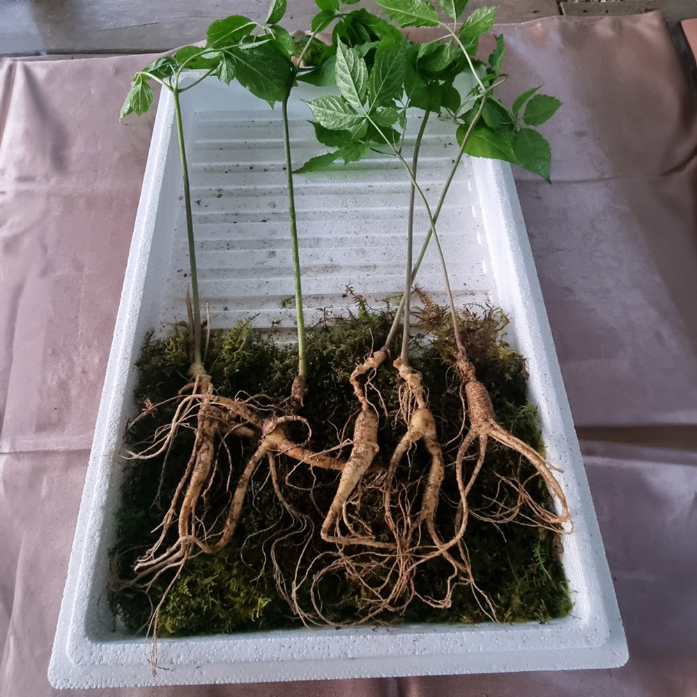 1715307645 thumbnail