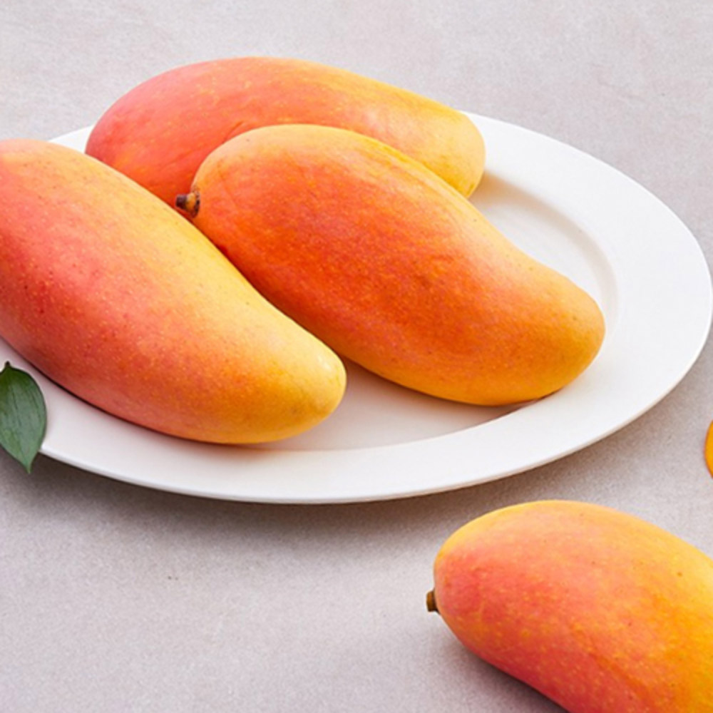 1715307684 thumbnail