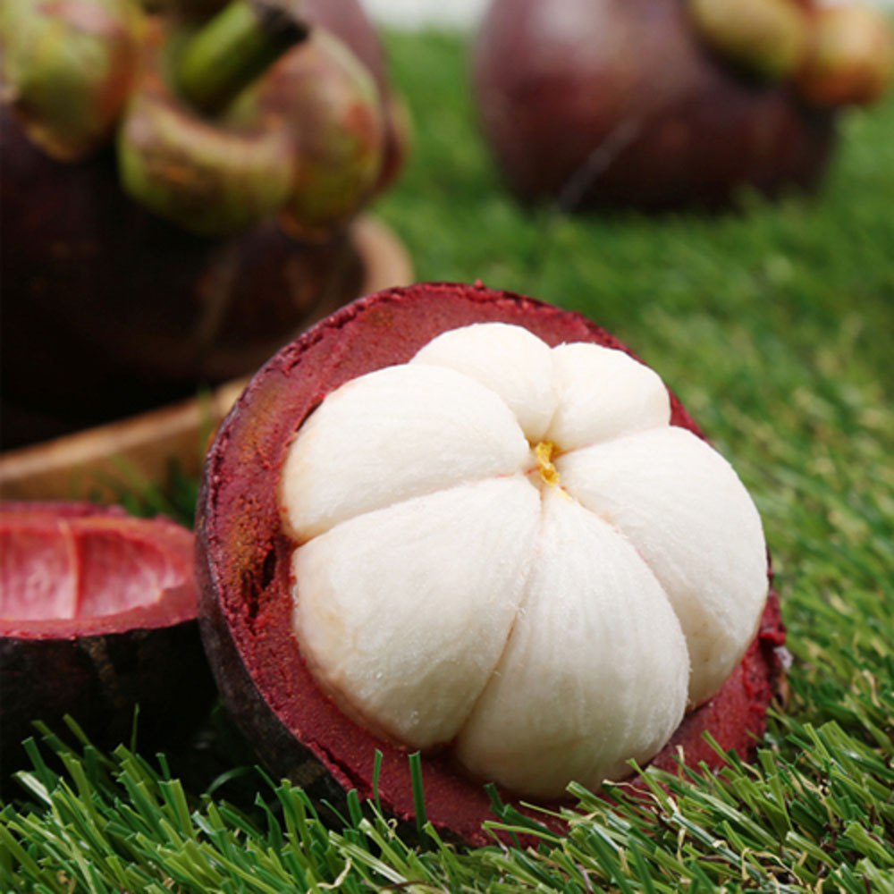 1715307688 thumbnail