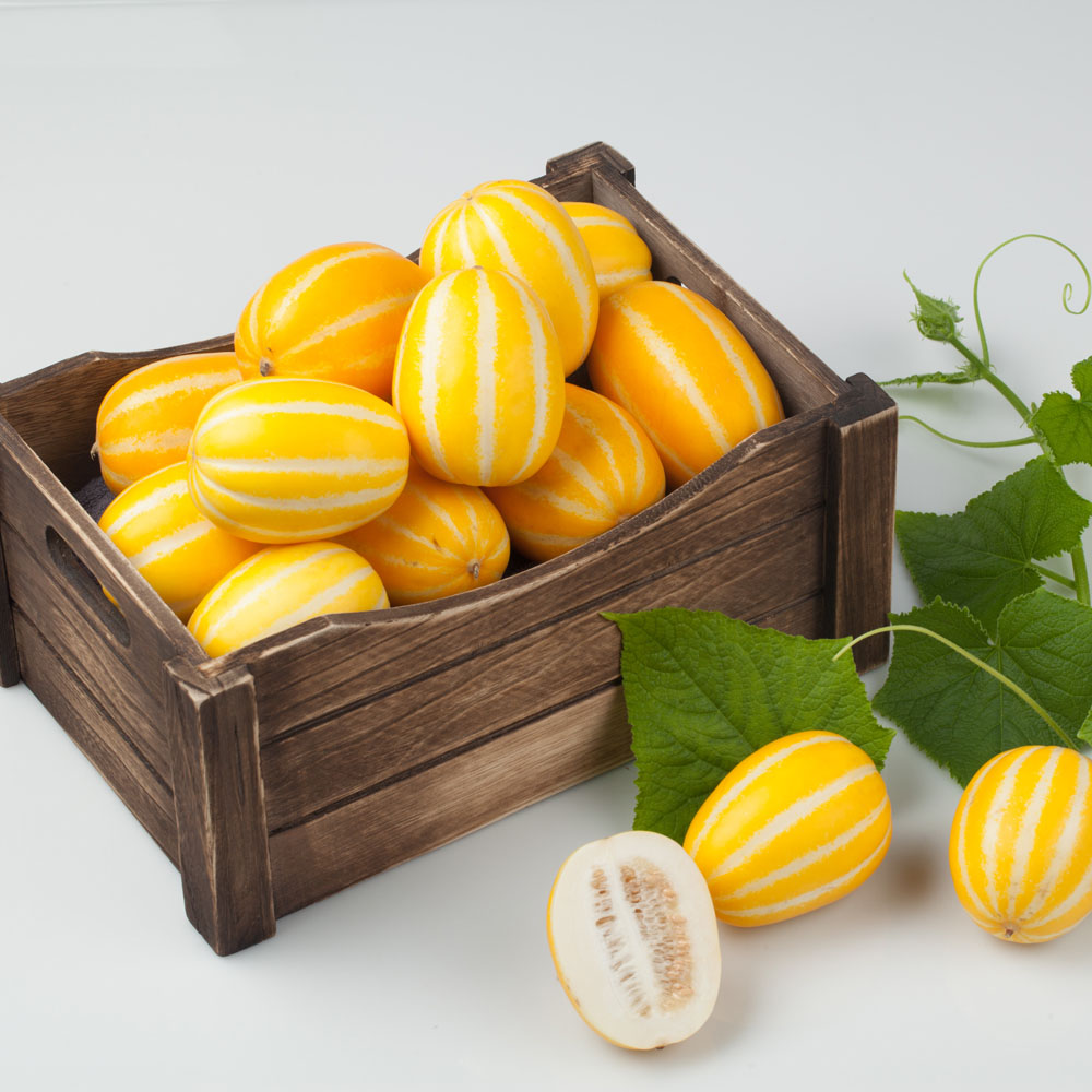 1715580629 thumbnail