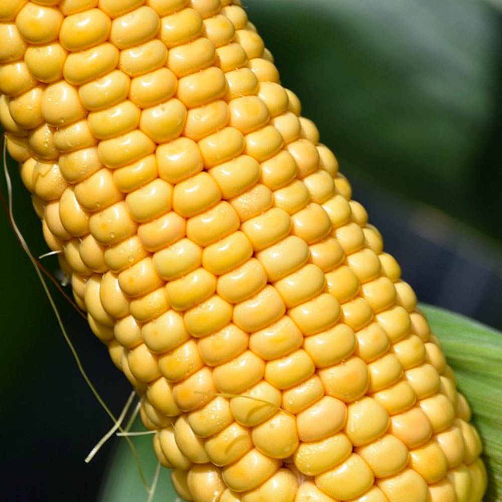 1715583290 thumbnail