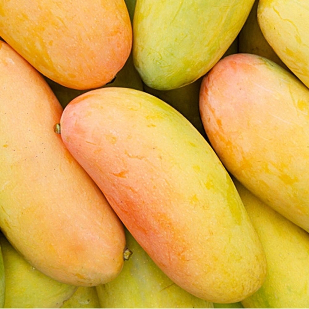 1715673078 thumbnail