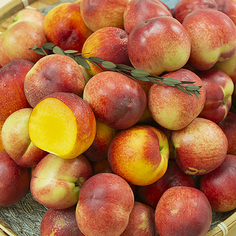 1715673172 thumbnail