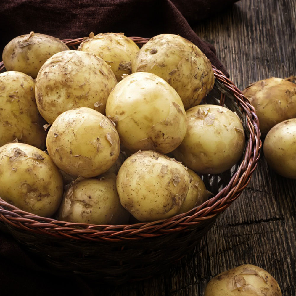 1715826671 thumbnail