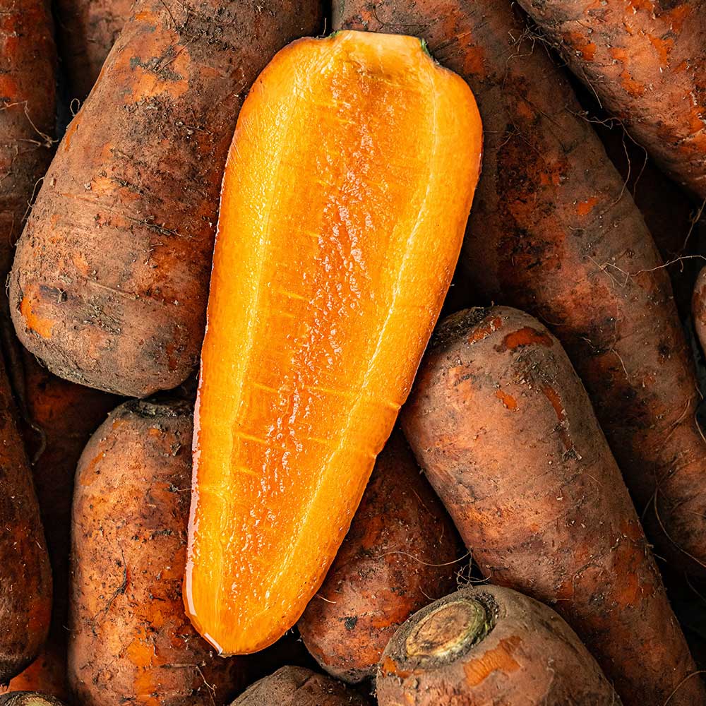 1715826695 thumbnail