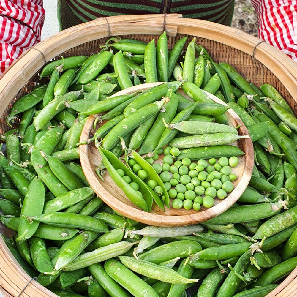 1715843468 thumbnail