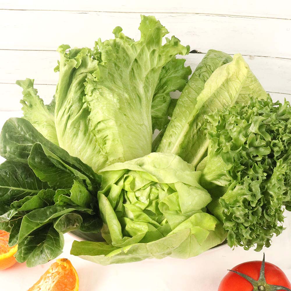 1715843475 thumbnail