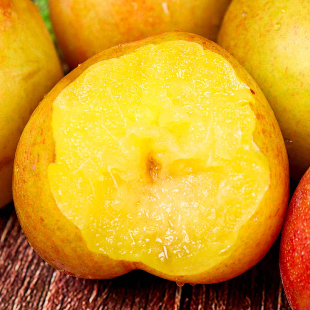 1716271857 thumbnail