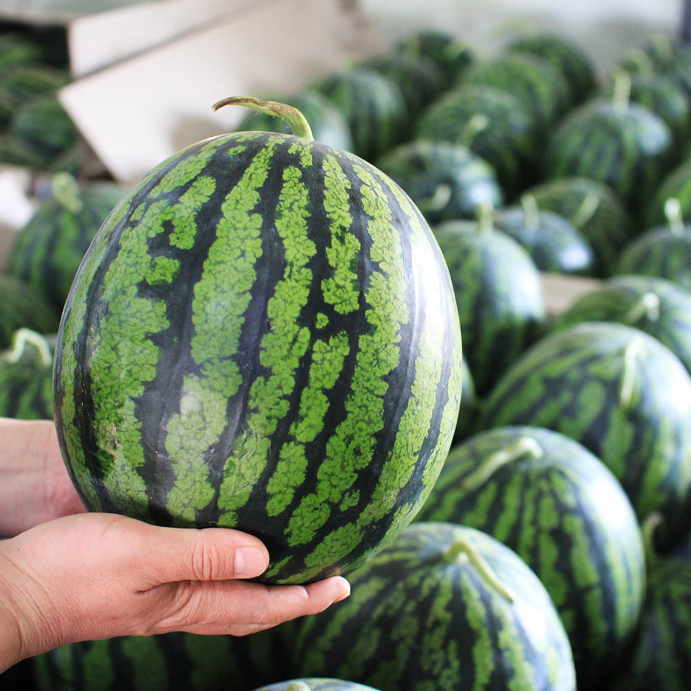 1716359901 thumbnail