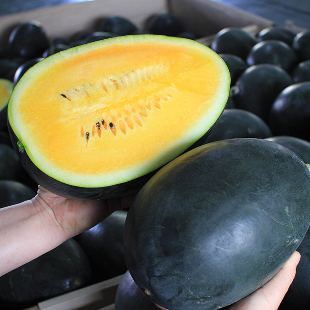 1716359905 thumbnail