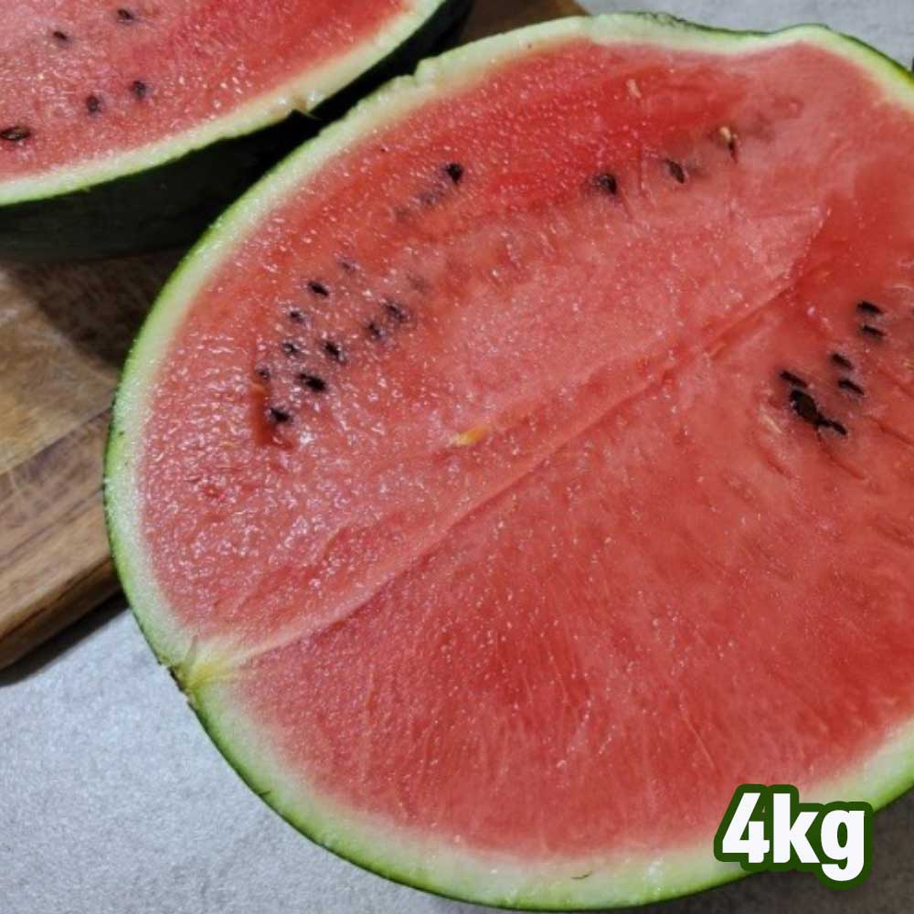 1716362073 thumbnail