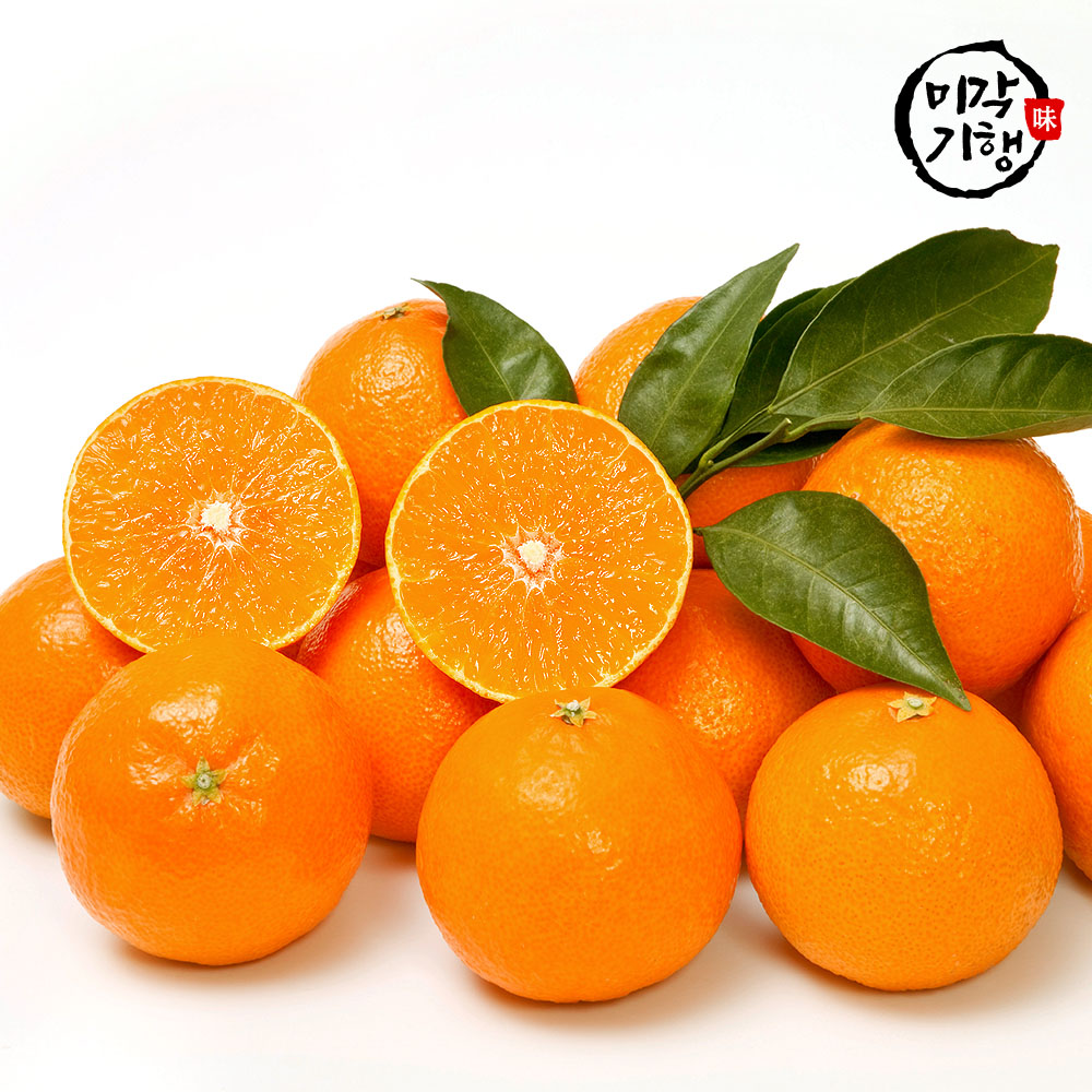 1716365606 thumbnail