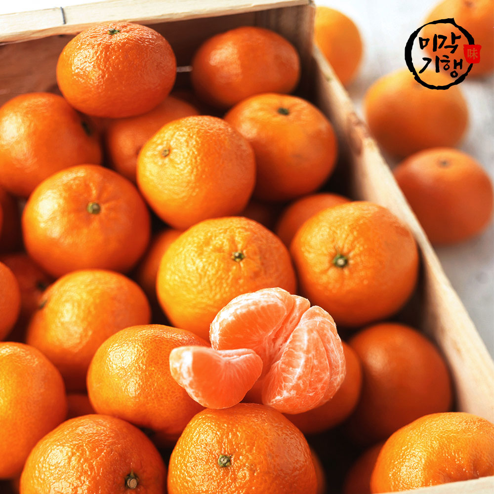 1716365609 thumbnail