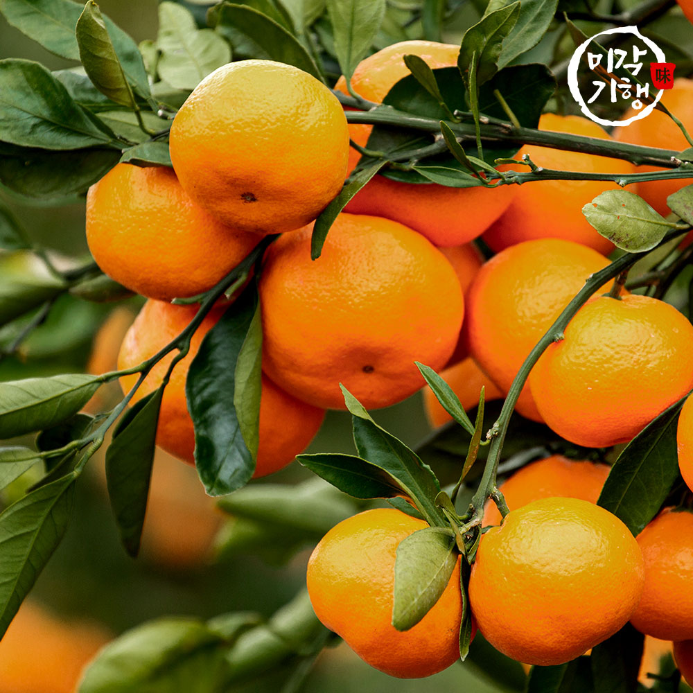 1716365617 thumbnail