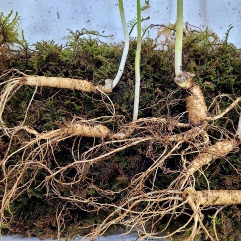 1716428794 thumbnail