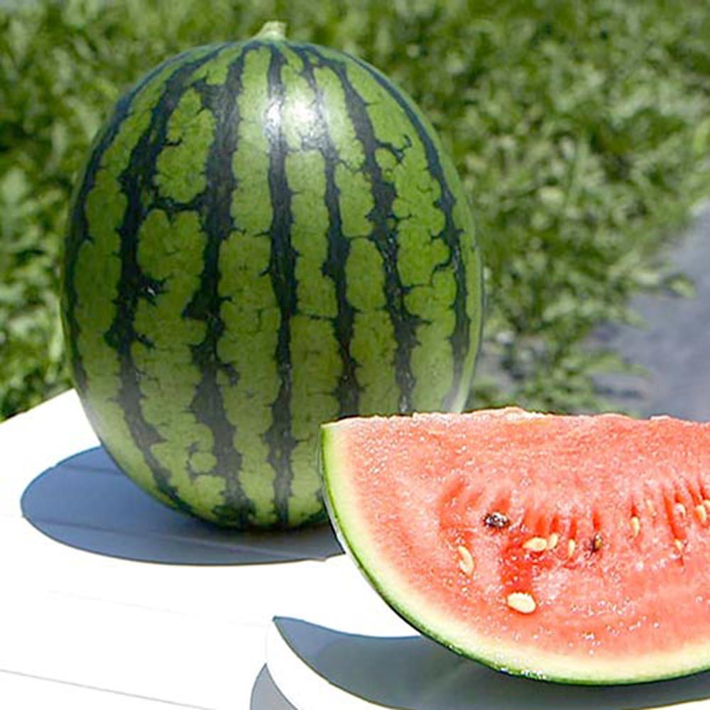 1716438706 thumbnail