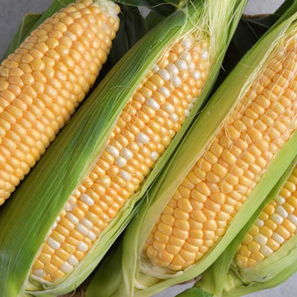 1716438708 thumbnail