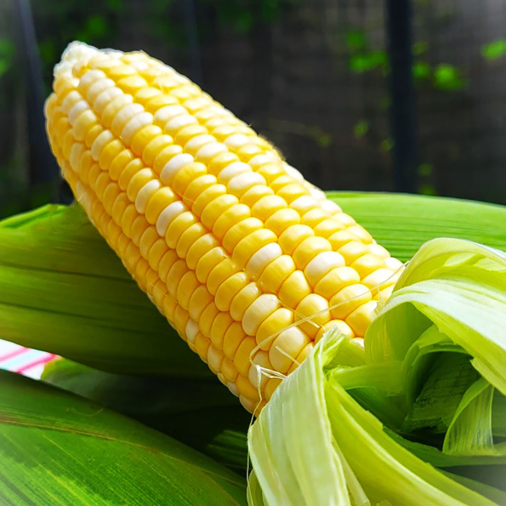 1716538774 thumbnail