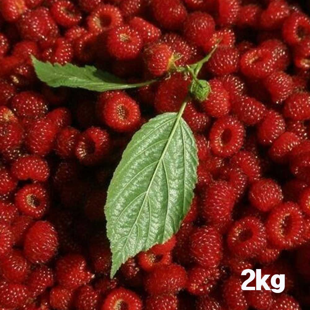 1716541958 thumbnail