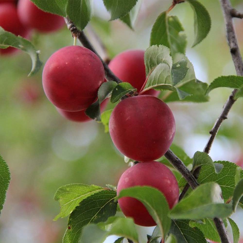 1716789488 thumbnail