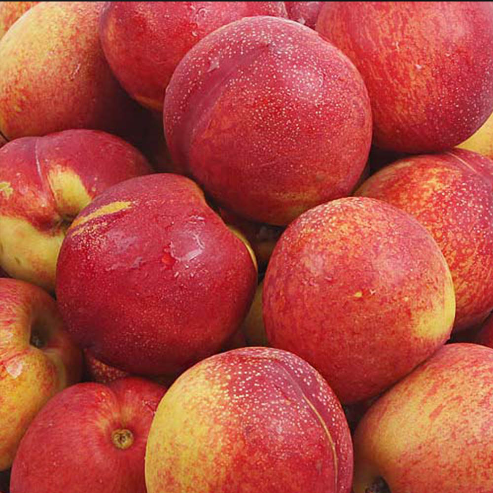 1716878406 thumbnail