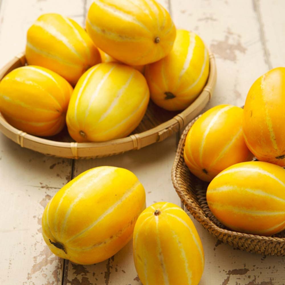 1717034657 thumbnail