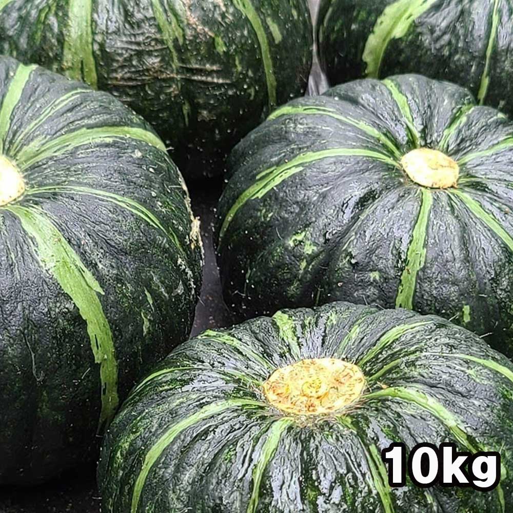 1717059312 thumbnail