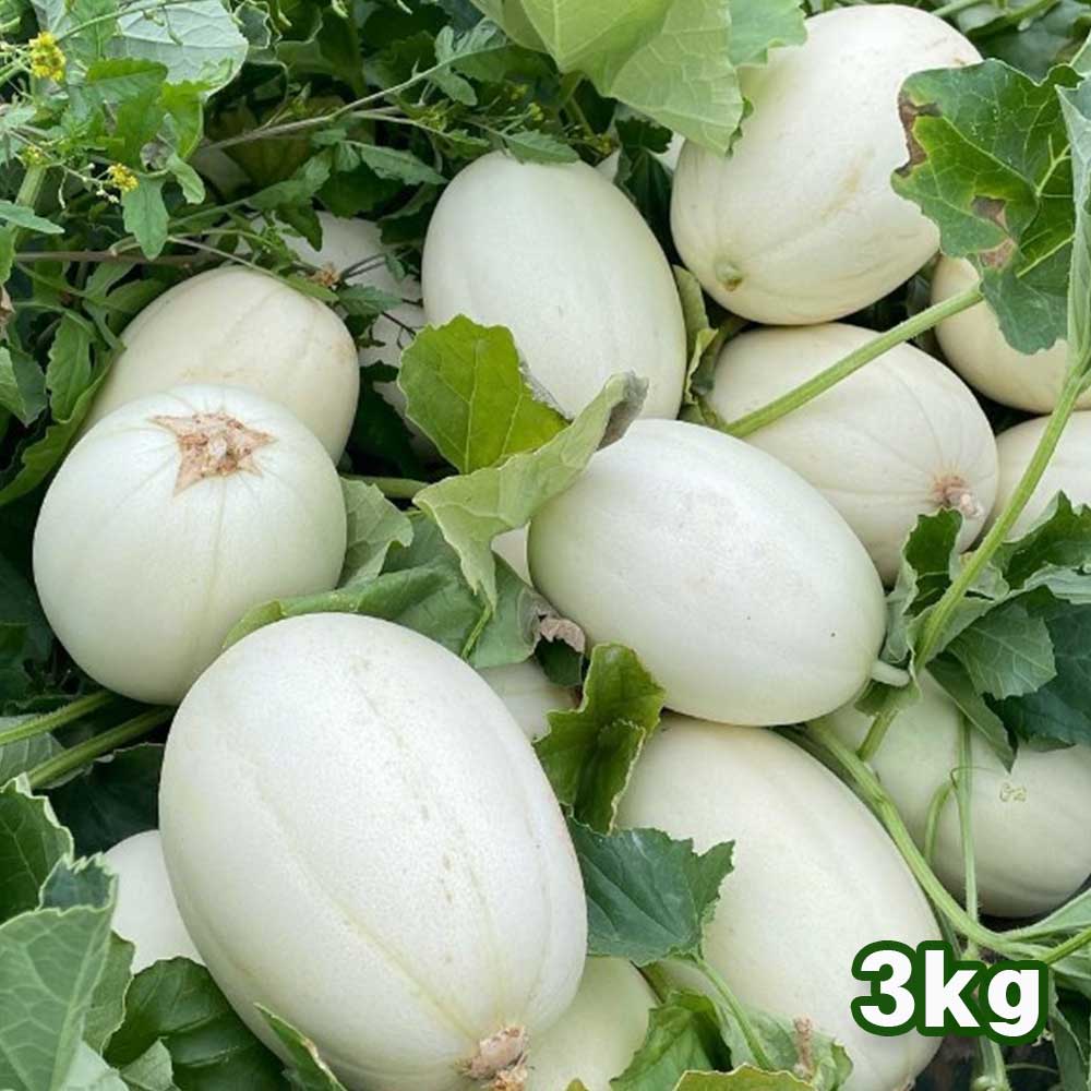 1717059316 thumbnail