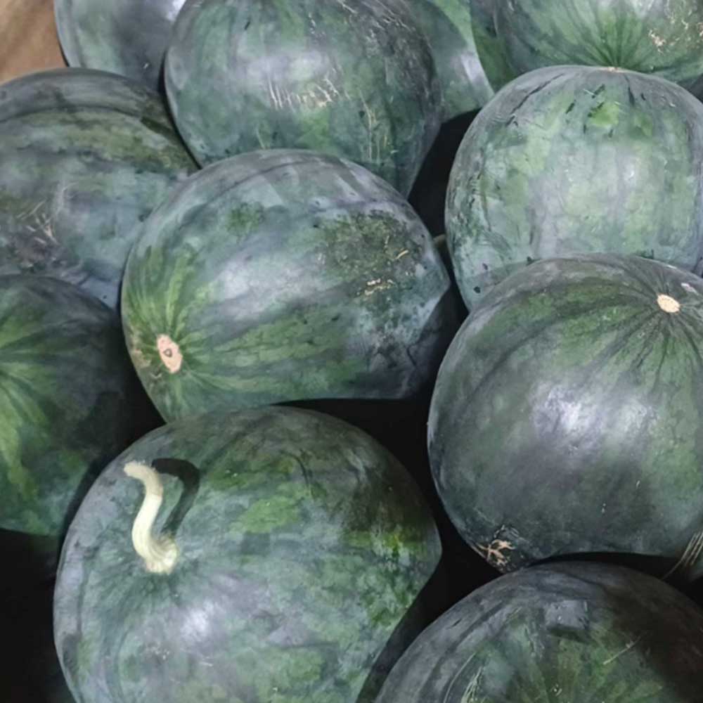 1717060039 thumbnail