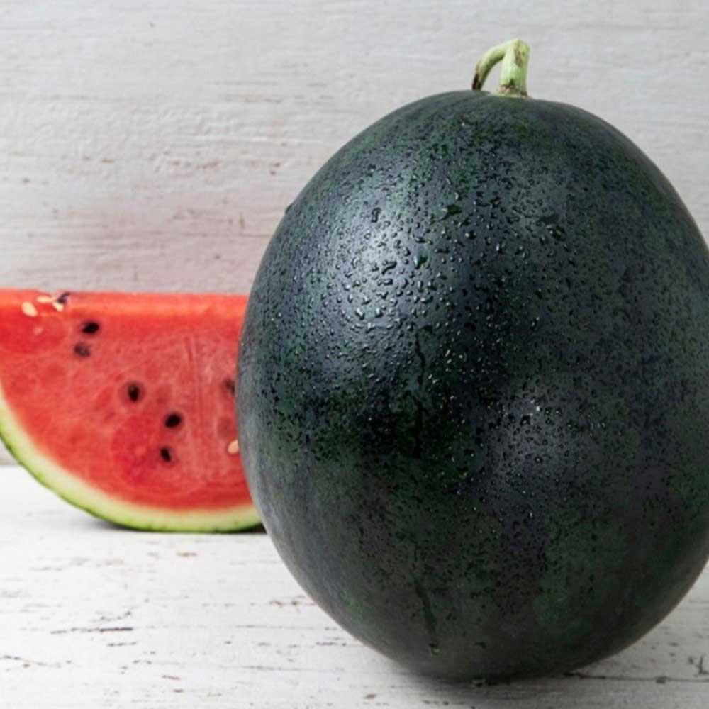 1717060040 thumbnail