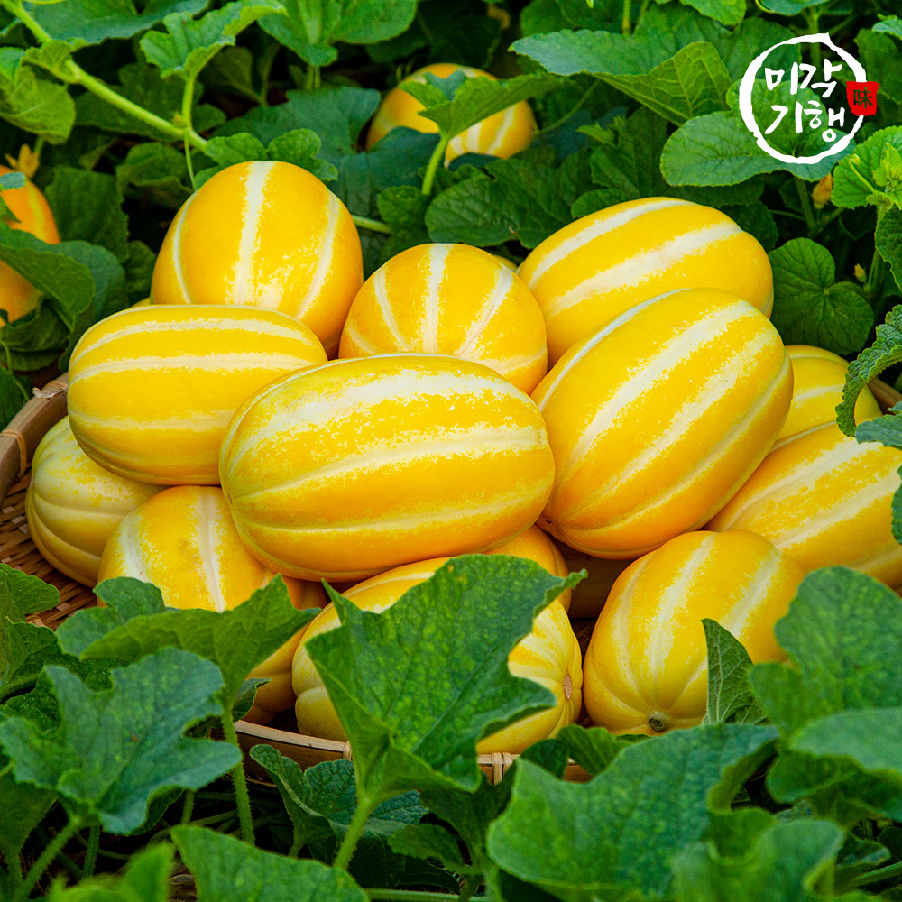 1717130617 thumbnail