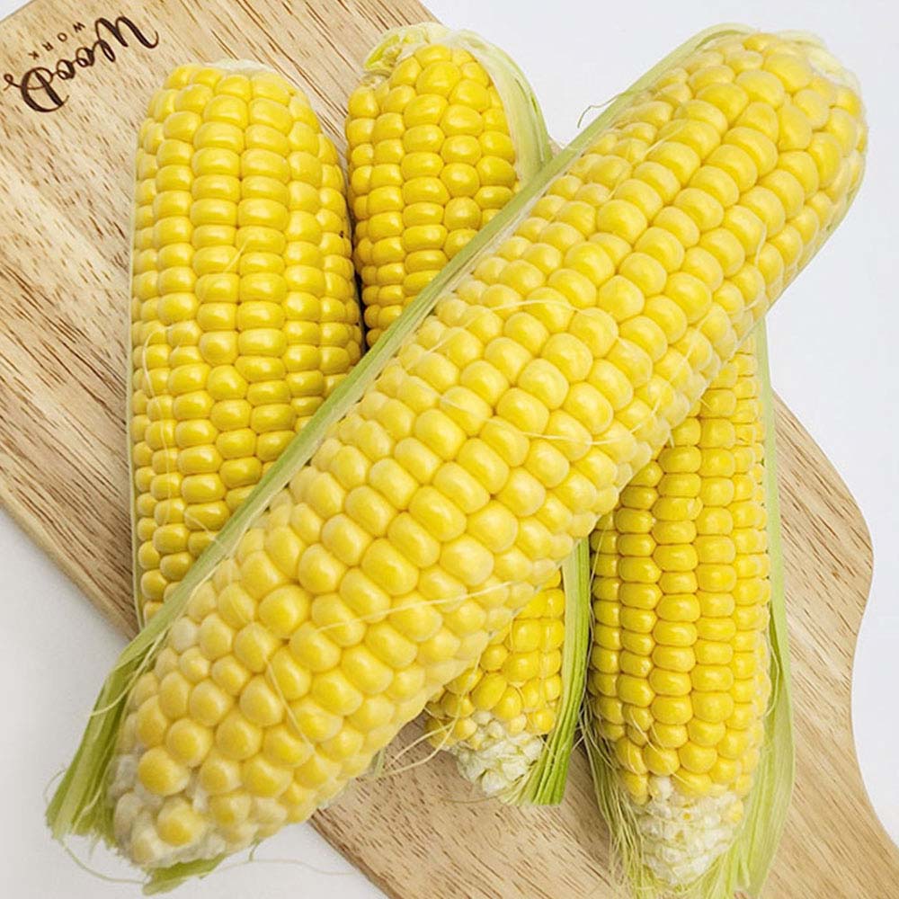 1717144208 thumbnail