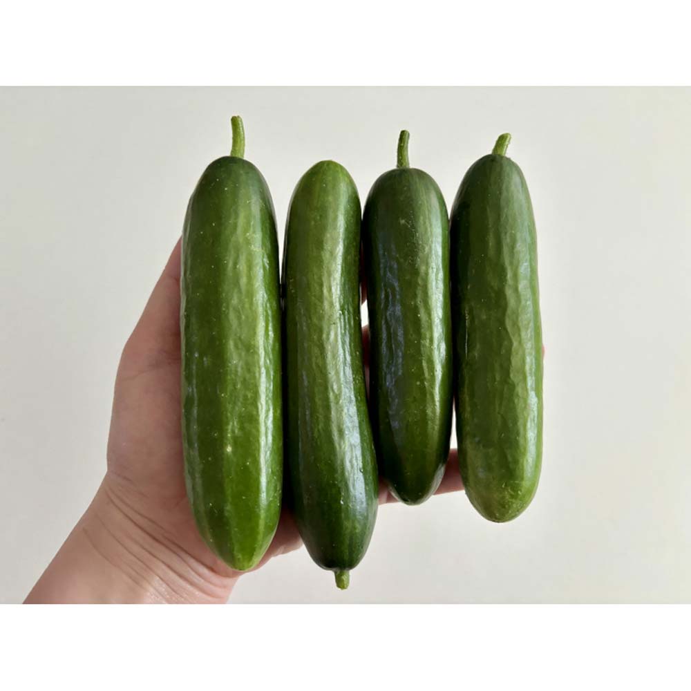 1717390931 thumbnail